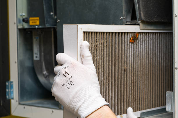 Best Home Air Vent Cleaning  in Buffalo Grove, IL
